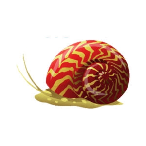 Red and Gold Snail